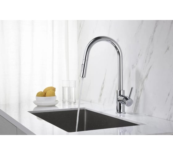 Смеситель для кухни Aquatek ЕВРОПА с вытяжным изливом 2 jet AQ1384CR 00000135188