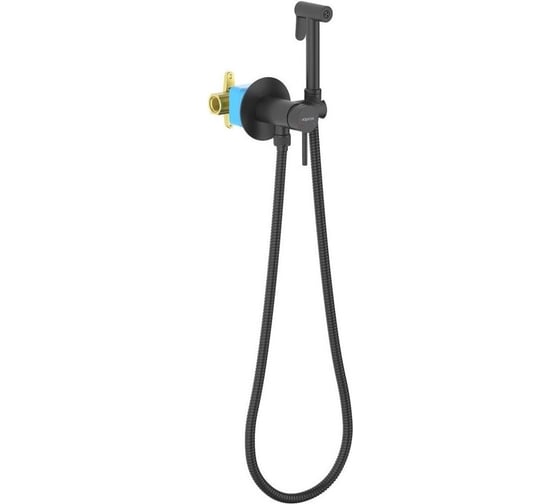 Встроенный комплект для гигиенического душа Aquatek ЕВРОПА (смеситель + гигиеническая лейка + шланг), матовый черный AQ1021MB 00000135479 1