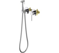 Встроенный комплект для гигиенического душа Aquatek ЕВРОПА 2 отв. (смеситель + гигиеническая лейка + шланг) AQ1319CR 00000135220