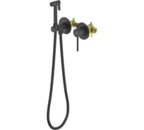 Встроенный комплект для гигиенического душа Aquatek ЕВРОПА 2 отв. (смеситель + гигиеническая лейка + шланг), матовый черный AQ1319MB 00000135221