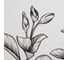 Коврик для ванной Этель Magnolia 40x45 см 9829432 2