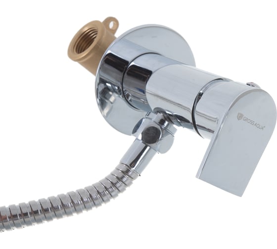 Смеситель GROSS AQUA c гигиеническим душем, встраиваемый Bidet GA042601C