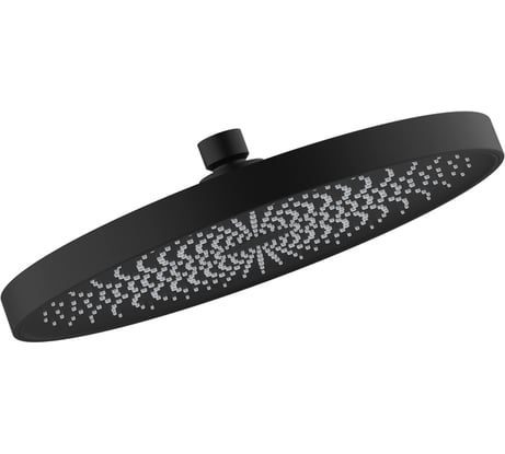 Душевая насадка IDDIS SpaHome верхняя, круглая, черная SPA26BPi64