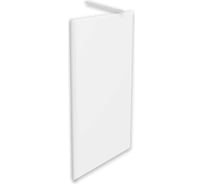 Душевая перегородка Iberico Blanco BEN_602_SL_M_2000x1000 Walk In 2000x1000 SILVER IB602.MC.200.100