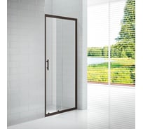 Душевая дверь Cezares ECO-O-BF-1-120-C-NERO