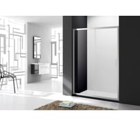 Душевая дверь Cezares MOLVENO-BF-1-160-C-Cr-IV