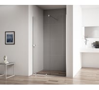 Душевая дверь Cezares STREAM-BF-1-120-C-Cr