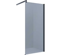 Душевая перегородка Alex Baitler AB29120B4