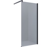 Душевая перегородка Alex Baitler AB29110B4