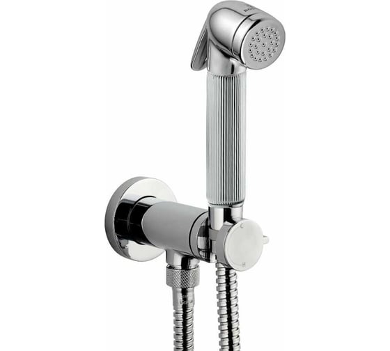 Гигиенический комплект Bossini Nikita Mixer Set смеситель прогрессивный, душ с кнопкой подачи воды, шланг 1250 мм, держатель с шланговым подключением E37008.030