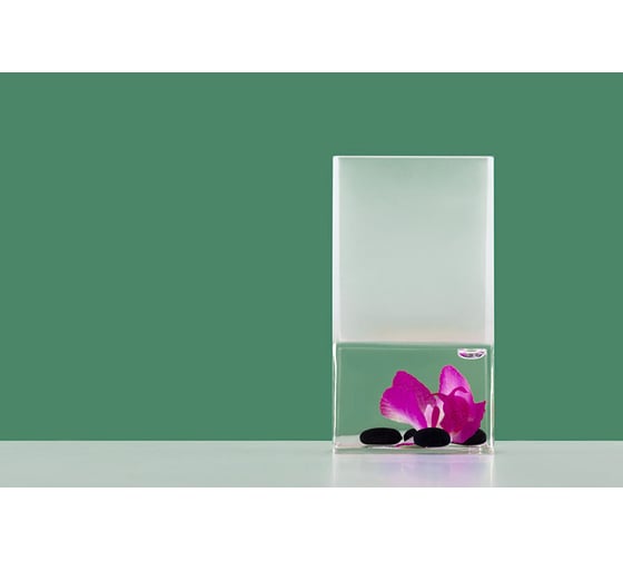 Стакан для зубных щеток VERRAN Phalaenopsis 850-19