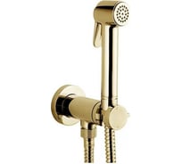 Гигиенический комплект Bossini Paloma Brass Mixer Set смеситель прогрессивный, душ, шланг 1250 мм, держатель с шланговым подключением, цвет золото E37005.021