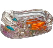 Большая мыльница Delphinium А8753 В4 прозрачный 106017