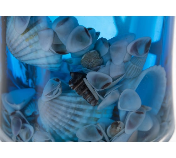 Стакан для зубных щеток Delphinium синий А8923 В6 106002