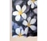 Штора для ванной Delphinium WS-817 спа, 180х180 104125 1