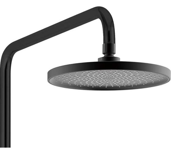 Душевая система Weltwasser WW DP 1020 BL черная 10000003186