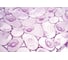 Ковер Delphinium  С6939 малиновый 103017 2