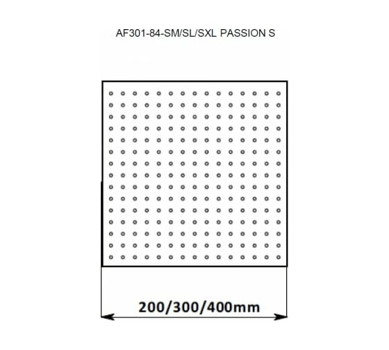 Верхний душ Aquanet 200х200х2 мм, квадратный, нержавеющий полир. AF301-84-SM PASSION S, M-size 00242981