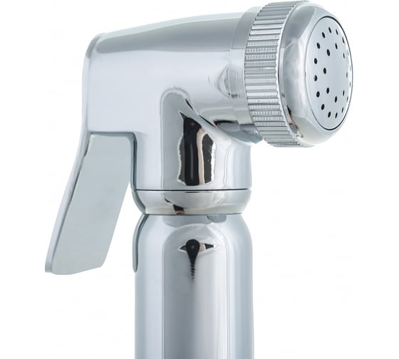 Встраиваемый смеситель Aquanet AF310-52C Atletic с гигиеническим душем, шланг 1,5 м, хром 00225485