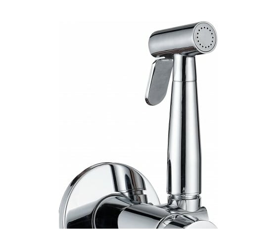 Встроенный смеситель Aquanet с гигиеническим душем AF300-52С Passion  Aquanet AF300-52С Passion шланг 1,2 м хром 00243317