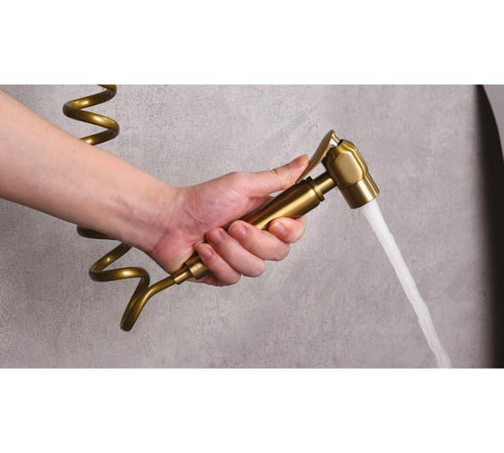 Встраиваемый смеситель с набором для гигиенического душа Elghansa ClassicLine 24C0784-Bronze Set-49