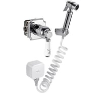 Встраиваемый смеситель с набором для гигиенического душа Elghansa Terrakotta 34C0786 /Set-59