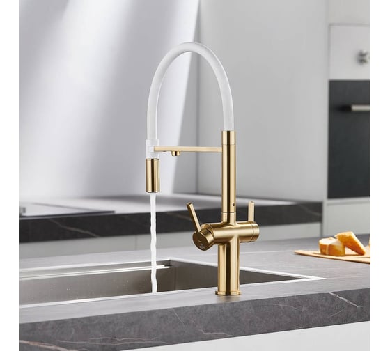 Смеситель для кухни с подключением фильтра питьевой воды Rose R458G