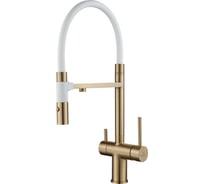 Смеситель для кухни с подключением фильтра питьевой воды Rose R958G