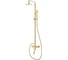 Душевая система со смесителем VODA VESSEL GOLD VST3000G 1