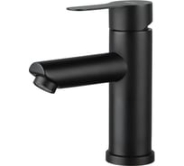 Смеситель для умывальника Avapax (SUS 304) D35, серия Elbe черный AP01211B