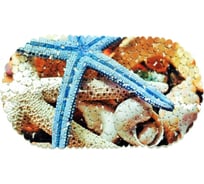 SPA-коврик Fora Морская звезда 67х36см FOR-SPA07