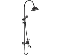 Душевая система Timo Adelia SX 6010 04