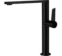 Смеситель для кухни Ramon Soler KITCHEN черный 388401MCNM