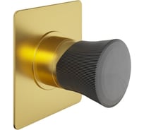 Встраиваемый смеситель для душа Paini Domus, матовое золото, покрытие PVD 33079