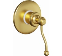 Встраиваемый смеситель для душа Paini Duomo, матовое золото, покрытие PVD 50212