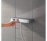 Термостат для душа Grohe GRT SmartControl с душевым гарнитуром Euphoria 110 Massage 34721000 4