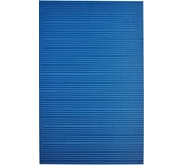 Коврик из вспененного ПВХ RIDDER Standard синий 50x80 1100303