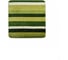 Коврик для ванной комнаты RIDDER Carl зеленый 55x50 7102805 1