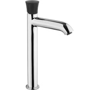 Смеситель для раковины Paini Domus высокий, хром 50200