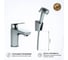 Смеситель для раковины Laguna с гигиеническим душем Paini LACR205/574 3