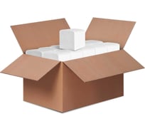 Туалетная бумага в листах Бумага Сити 2 слоя, 250 листов, белая, целлюлоза, 40 шт БС-2-ЛТБ (40 шт/кор)М