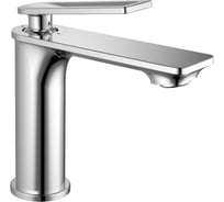 Одноручный смеситель для умывальника RUSH Palm хром PL2530-11