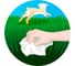 Бумажные полотенца Мягкий знак Pets care, 2 слоя, 2 рулона С201 7
