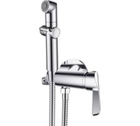 Смеситель с гигиеническим душем DQ DA1464501