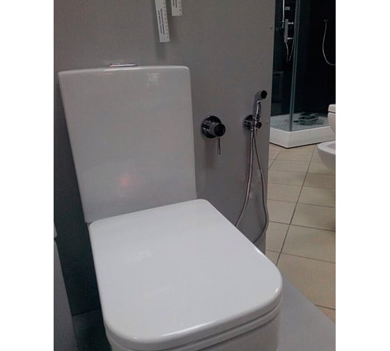 Комплект с гигиеническим душем Kludi Bozz 1 вид струи, цвет хром KL389990576