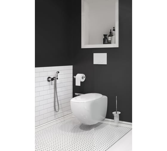 Комплект с гигиеническим душем Kludi Bozz 1 вид струи, цвет хром KL389990576