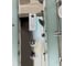 Душевая кабина Timo Comfort Fabric Glass 100100220 T-8801F 7