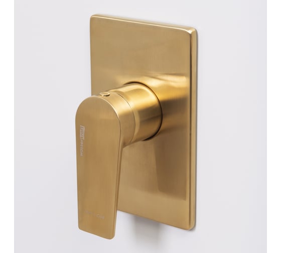 Смеситель для душа WasserKRAFT латунь Aisch 5551