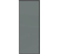 Боковая стенка Grossman Galaxy 80*195 см, черный матовый, стекло тонированное, 1 место 200.K33.01.80.21.10
