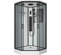 Душевая кабина Niagara NG-6902-01GD BLACK (1000x1000x2200) низкий поддон (16 см) стекло тонированное, 4 места 69020134GDBLACK